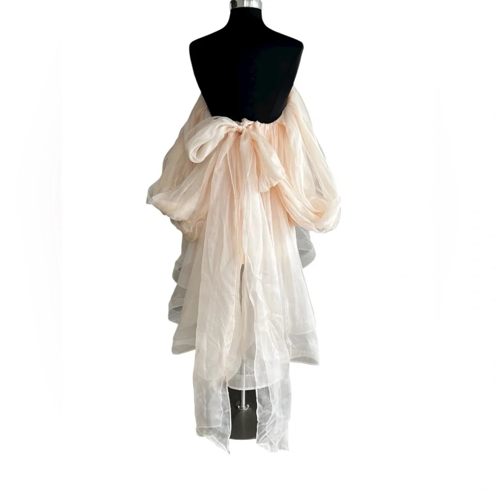 ZIMMERMANN Crush Pink Strapless gathered silk-organza Mini Dress AU 0 (US 4) - Picture 9 of 12